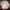 Streetwear Sportswear Sweater Pria white photo 1