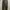 Dickies Streetwear Y2K Dungaree Pria green photo 5