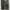 Dickies Streetwear Y2K Dungaree Pria green photo 4