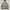 Carhartt Casual Track jacket Pria khaki photo 6