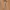 Japanese brand Streetwear Casual Belt Wanita gray photo 1