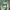 Columbia Gorpcore Track jacket Pria green photo 5