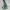 Columbia Gorpcore Track jacket Pria green photo 4