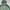 Columbia Gorpcore Track jacket Pria green photo 3