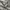 The North Face Gorpcore Casual Track jacket Pria black photo 6