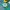 Casio Vintage Y2K Watch Wanita green white photo 1