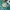 Casio Vintage Y2K Watch Wanita green white photo 6