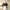 Burberry Vintage Blouse Wanita white black photo 1