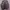 Maximum MJ0077 Coach Camo Jacket photo 2