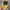 Made in USA Sportswear Casual Hat Pria multicolor photo 5