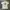 Tshirt anime naruto photo 2