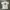 Tshirt Anime Naruto