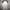 Sportswear Jersey Pria White