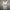 Sportswear Jersey Pria white photo 1