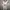 Sportswear Jersey Pria White