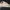 Converse all star low OX cream photo 2