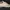 Converse All Star Low OX Cream