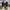 Nike StreetWear/ Jordan 1/aj1/aj photo 5