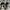 Nike StreetWear/ Jordan 1/aj1/aj photo 6