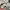 Uniqlo Streetwear Casual Casual shirt Pria white photo 6