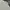 Uniqlo Streetwear Casual Casual shirt Pria white photo 5