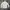 Giordano Streetwear Casual Casual shirt Pria white photo 6