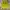 Japanese brand Vintage Crop top Wanita green yellow photo 2