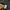 The North Face M65 Parka Jacket | Jacket Tnf | Jacket The No photo 6