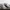 Timberland loafers earthkeeper photo 3