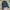 Jacket levis photo 3