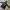 Outdoor Research Streetwear Suit Pria black gray photo 1
