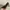 Heels Everbest  photo 5