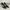 Heels Everbest  photo 1