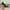 Heels Everbest  photo 2