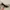 Heels Everbest  photo 4