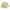 Lacoste Luxury Casual Polo Shirt Pria Cream