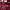 United Arrows Vintage Fleece Pria burgundy red photo 6