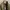 Alpha Industries Streetwear Parka Pria green photo 7