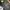 Topi Birkenstock photo 5