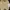 Minimalist Casual Crop top Wanita white yellow photo 1