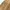 Zara Vintage Casual Sweater Pria tan photo 4