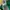 Bandai Apparel Xevious short sleeved T shirt, green, M photo 6