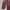 Tommy Hilfiger Y2K Grunge Sweatshirt Pria burgundy photo 5