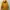 Jean-Michel Basquiat Y2K Luxury Track jacket Pria yellow photo 2