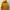 Jean-Michel Basquiat Y2K Luxury Track Jacket Pria Yellow
