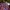 Vintage Indie Casual Shirt Pria Multicolor Burgundy