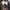 WEAR SAREY - Luna Skirt ARMY rok cargo wanita Cargo Skirt photo 3