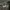 WEAR SAREY - Luna Skirt ARMY rok cargo wanita Cargo Skirt photo 4