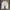 Streetwear Jeans Pria khaki photo 6