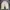 Streetwear Jeans Pria khaki photo 2